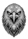 Zynith Crest